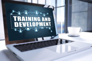 How Can a PEO Assist with Employee Training?
