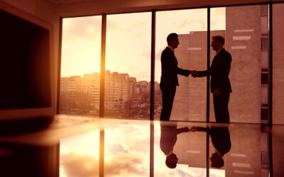 Do PEOs Offer DEI Programs for Businesses